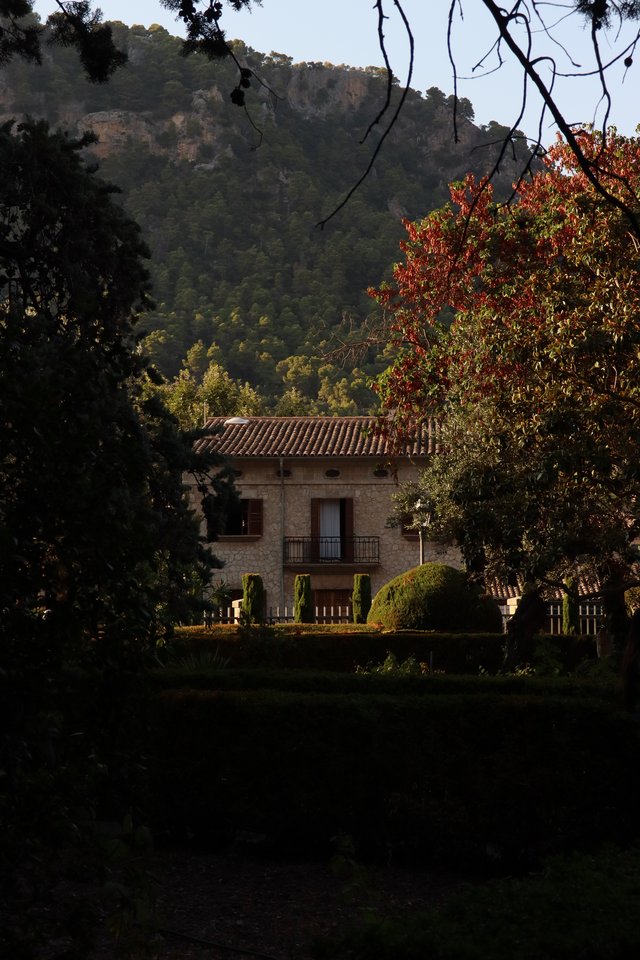 Captured on 2026-08-14 in Valldemossa, Mallorca